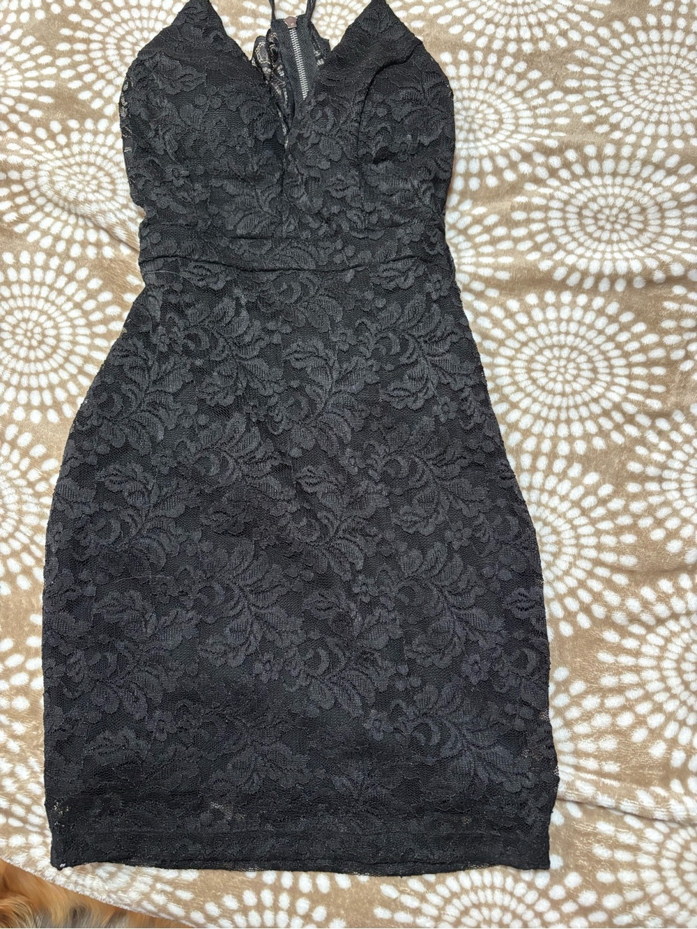 Windsor Black Lace Mini Dress